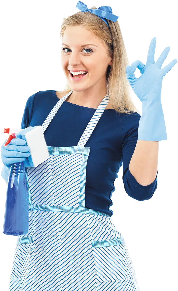 cleaner girl cleaner girl